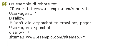 Capitolo VIII - Esempio di file robots.txt